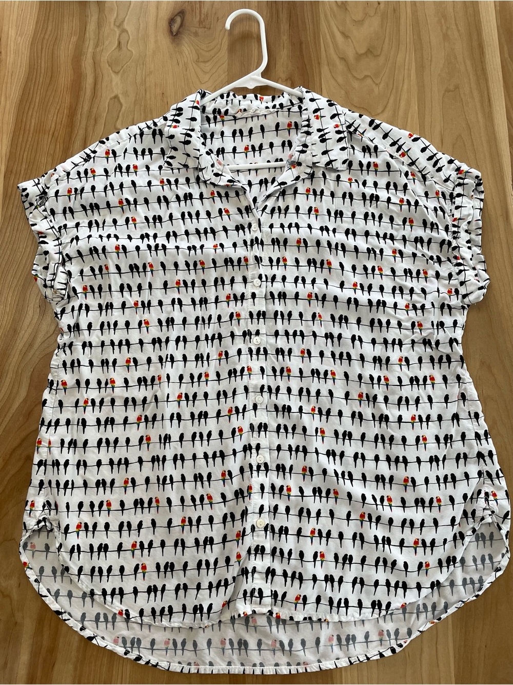 Jane And Delancey XL Parrot Bird On A Wire Short Sleeve Button Up Shirt Hi Low